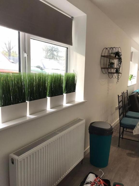 Ella Court Devon Apartment Торки Екстериор снимка